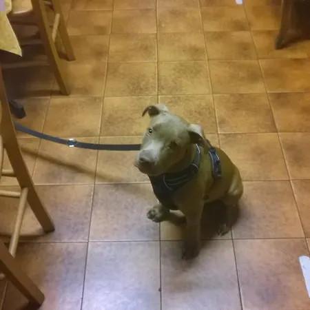 Antico Sant'antonio 2*